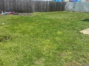 Carol T.'s Lawn Mowing service result