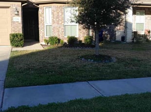 Ratisha L.'s Lawn Care service result