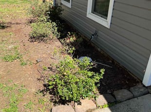 Leaf Removal by Clay Turner for Zalika G. in Charlotte, NC
