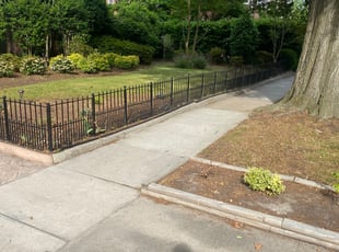 Leaf Removal by Andree Dualan for Anna H. in Norfolk, VA