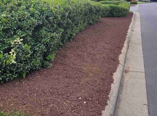 Mulching by Roberto Carrasco for Lori H. in Pineville, NC