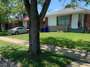 David R.'s Lawn Mowing service result