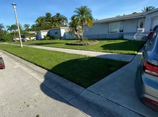 JeLani W.'s Grass Cutting service result