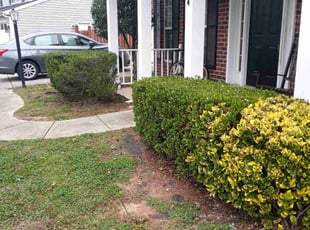 Bush Trimming by Tim Hargett for Mary S. in Charlotte, NC