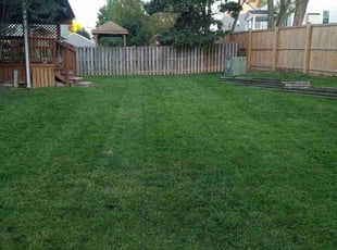 Guillaume V.'s Lawn Service service result