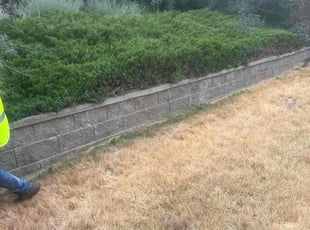 Bush Trimming by Justin Hands for Colleen R. in Littleton, CO
