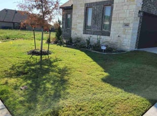 Rhonda K.'s Lawn Mowing Service service result