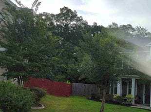 Rosetta P.'s Lawn Maintenance service result