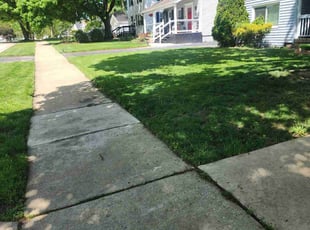 Joyce H.'s Grass Cutting service result