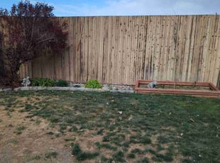 Weeding by Johnny Hines for Lee N. in Aurora, CO