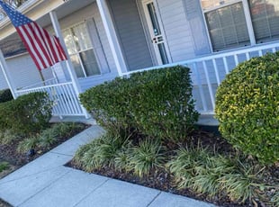 Bush Trimming by Brandon Russell for Lynden F. in Suffolk, VA