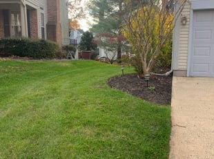 Leaf Removal by Khalim Yularnis for Stella B. in Centreville, VA