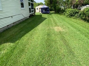 Dominique C.'s Grass Cutting service result
