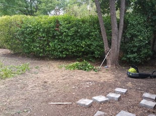 Bush Trimming by Gregory Carter for Gary T. in Austin, TX
