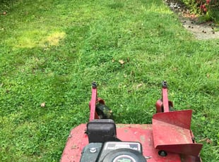 Bush Trimming by Kamonta Hackey for Vicki J. in Alexandria, VA