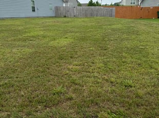 Yvonne L.'s Lawn Mowing Service service result