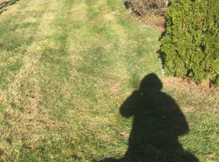 Cleanups by Harry Luis for Patrick N. in Millbury, MA