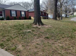 Cleanups by Charles Ridge for Katherine D. in Kansas City, MO