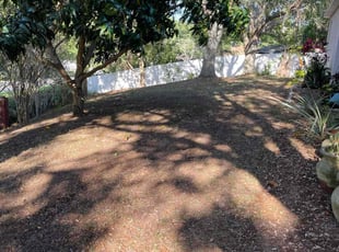 Leaf Removal by Terry Lampo for Jonathan F. in Clermont, FL