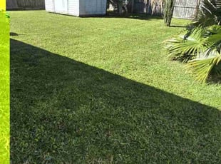 Cathy J.'s Lawn Mowing service result