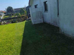Carolyn S.'s Grass Cutting service result