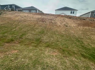 Cleanups by Brandon McGee for Michael C. in Greer, SC
