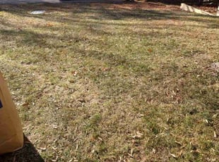 Leaf Removal by Kelly Scarborough for Andrew G. in Montclair, VA