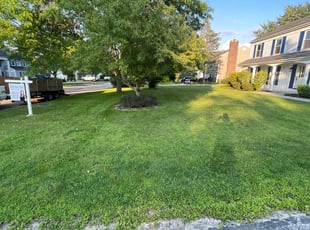 Shana W.'s Lawn Service service result