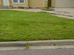 Dave K.'s Lawn Mowing Service service result