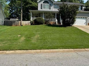 Patricia N.'s Grass Cutting service result