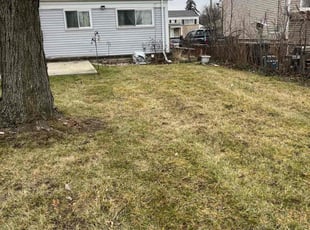 Leaf Removal by Aurelio Vazquez for Dorian M. in Pontiac, MI