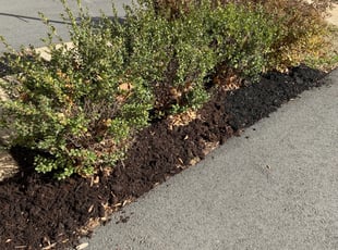 Weeding by Khalim Yularnis for Lindsay M. in Sterling, VA