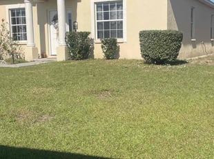 Bush Trimming by Hanif Ibn King for Stephen G. in Winter Haven, FL