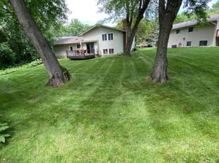 Timothy M.'s Yard Cutting service result