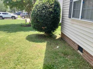 Bush Trimming by Tyreek Leacock for Michelle A. in Chesapeake, VA