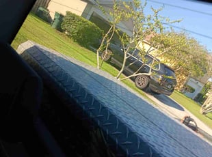 Maurice A.'s Lawn Mowing service result