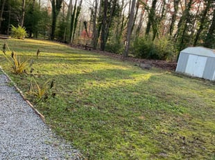 Leaf Removal by Orlando Guevara for Micah C. in Silver Spring, MD
