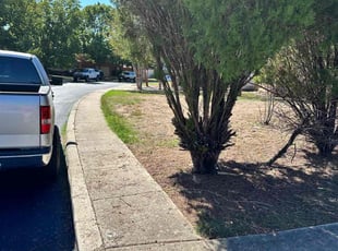 Bush Trimming by Brian Sky for Amelita F. in San Antonio, TX