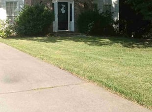 Stephen J.'s Lawn Care service result