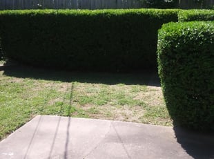 Bush Trimming by Demetrius Curry for Larry G. in Tulsa, OK