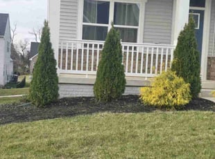 Weeding by Philip Shoop for Thiru G. in Yorkana, PA