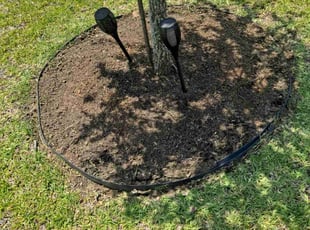 Landscaping by Christopher Marquez for Sabrina T. in Katy, TX