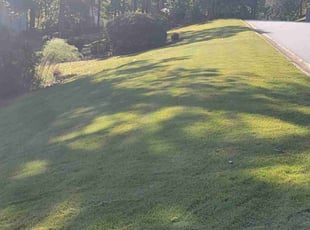 Lily d.'s Lawn Mowing Service service result