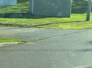 Susan C.'s Bush Trimming service result