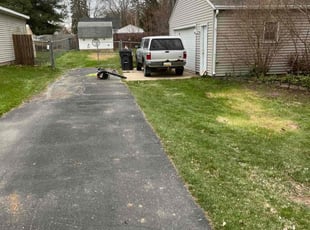 Cleanups by David Dangler for Gwen M. in Lansing, MI