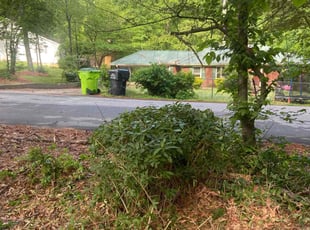 Bush Trimming by Paul Clark for Ceray D. in Lithia Springs, GA
