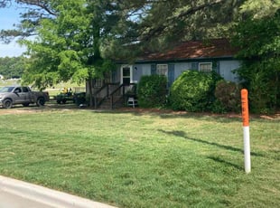 Marissa V.'s Grass Cutting service result