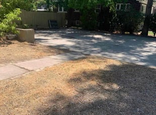 Walt S.'s Cleanups service result