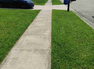 Beckie J.'s Grass Cutting service result