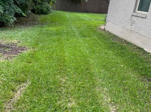 Laurie A.'s Lawn Mowing Service service result
